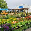 Lakeside Tree Nursery & Garden Centre